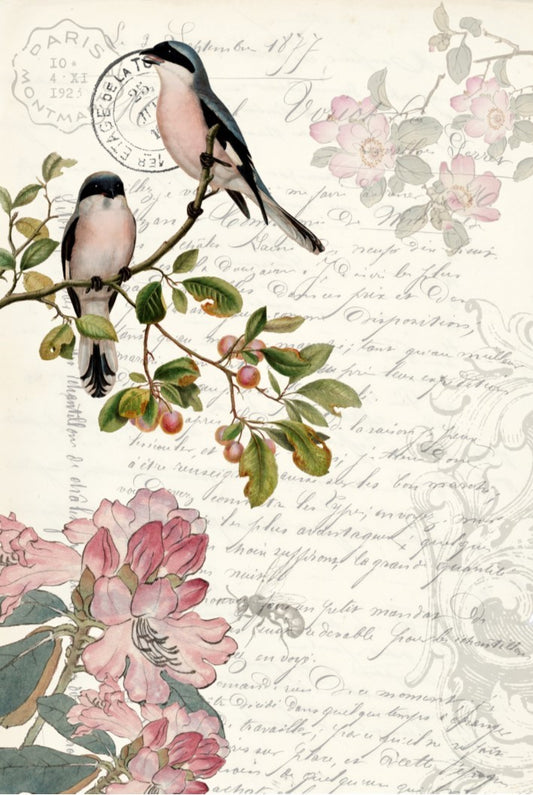 Spring Bird Ephemera Decoupage Paper Sheet